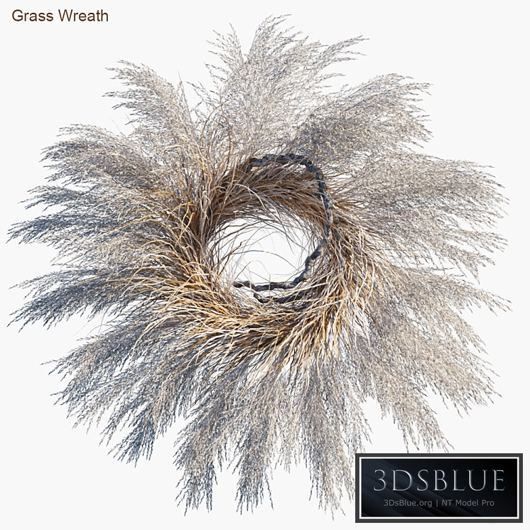 Grass Wreath # 2