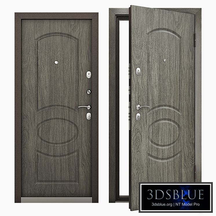 Entrance door Torex Series Delta M 10 D16