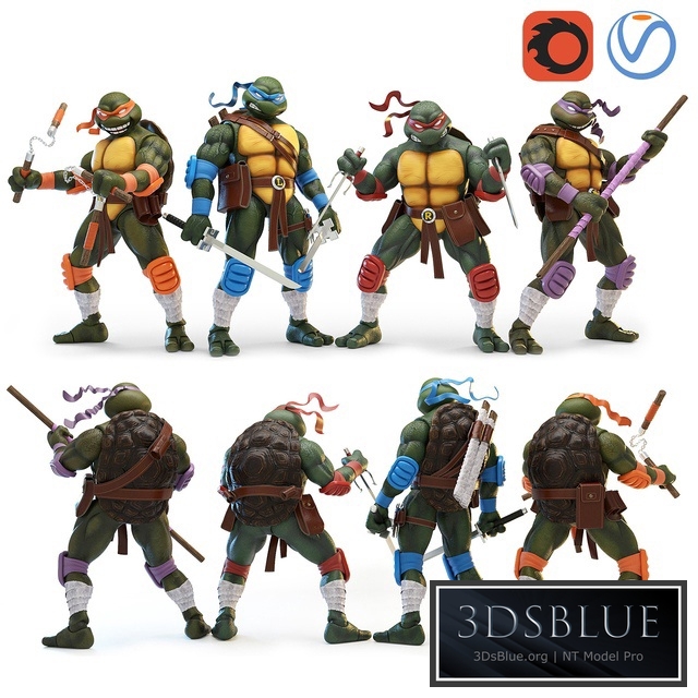 Teenage Mutant Ninja Turtles (TMNT)