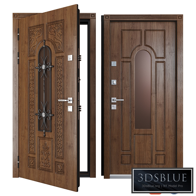 Entrance metal door of Vezha 4 3d (Your Frame)