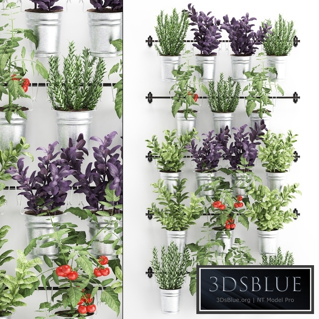 Vertical gardening. 33. Kitchen garden, vegetable garden, vegetables, herbs, tomatoes, rosemary, basil, railing, phytowall, phytomodule