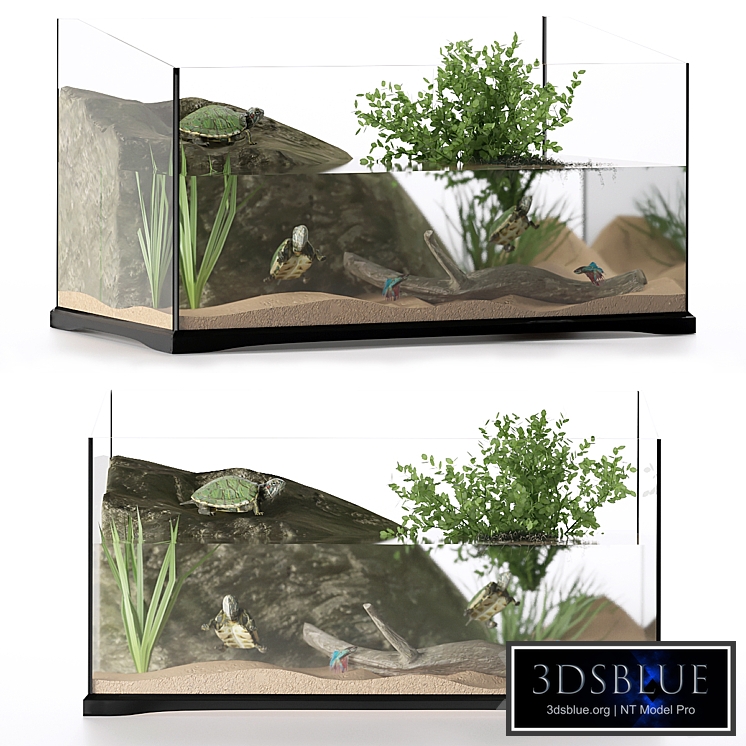 Terrarium for turtles