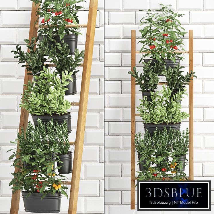 Vertical gardening. 36. kitchen garden, garden, vegetables, tomatoes, basil, greens, flowerpot, kitchen apron, tile, phytowall, phytomodule, eco design