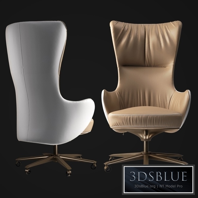 Giorgetti Genius office armchair