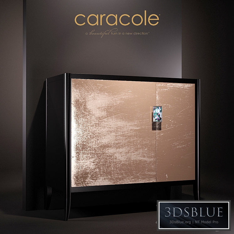 CARACOLE - Con Closto 056