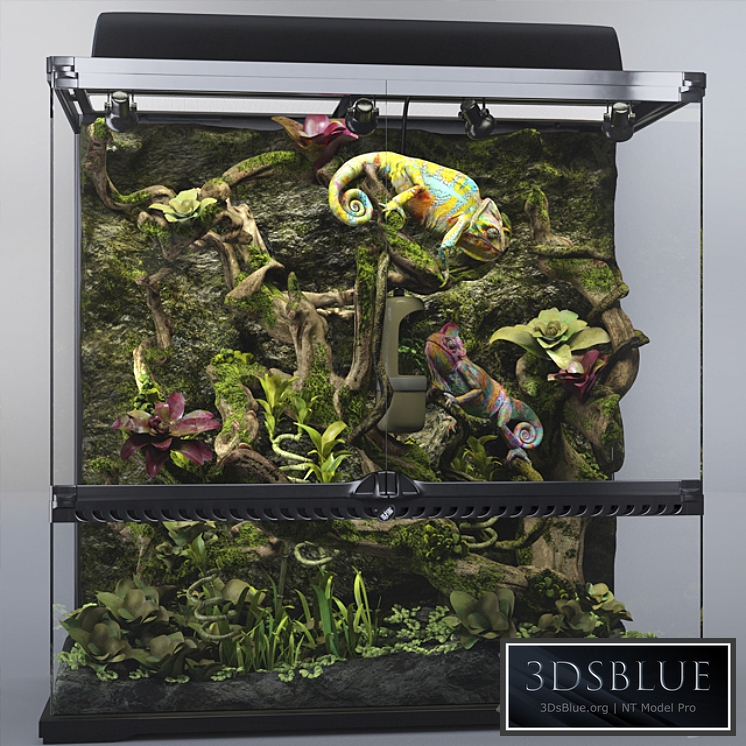Terrarium Exo-terra with chameleons