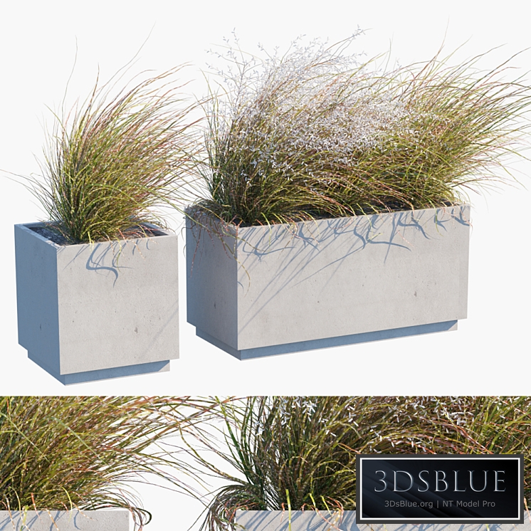 Plant in pots # 27: Wind blows