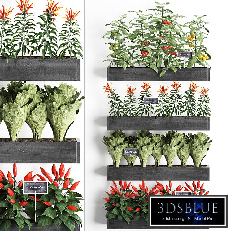 Vertical gardening. 47, Kitchen garden, kitchen garden, vegetables, herbs, peppers, tomatoes, phytowall, phytomodule, eco design, bed