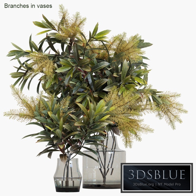 Branches in vases # 10