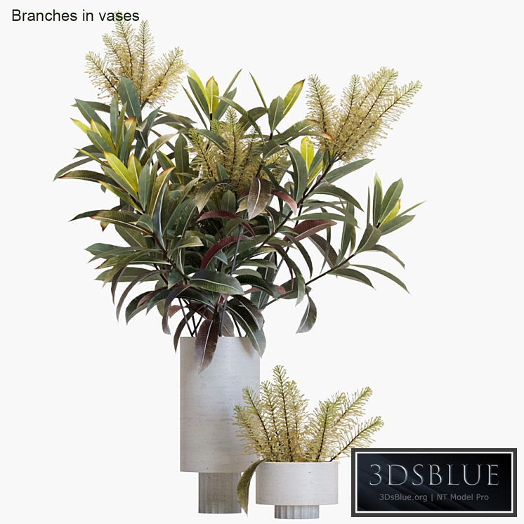 Branches in vases # 12