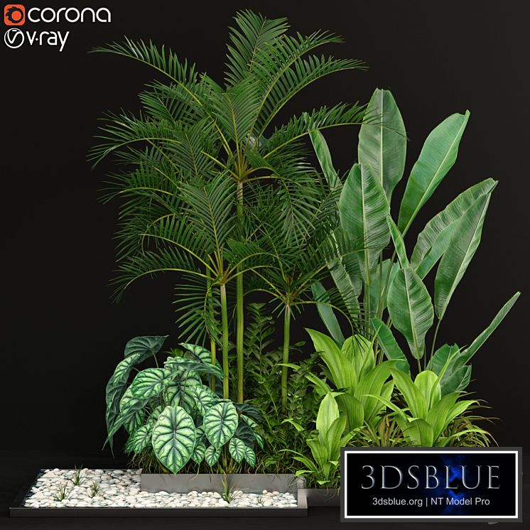 Plants collection 198