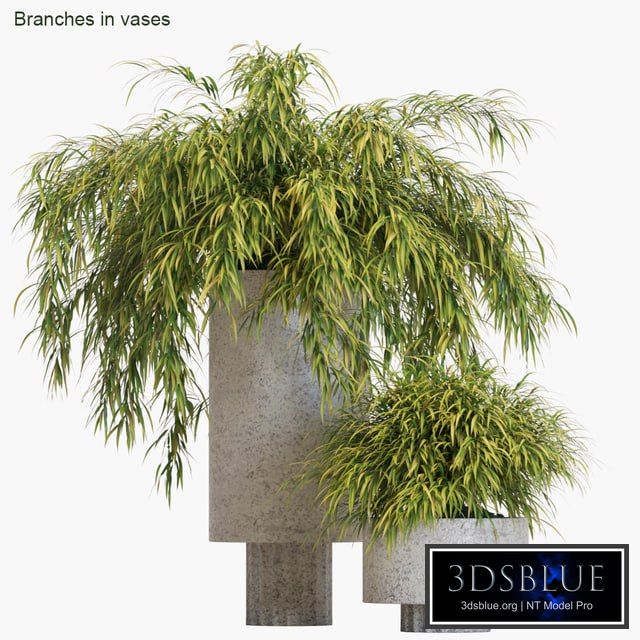 Branches in vases # 14: Hakonechloa
