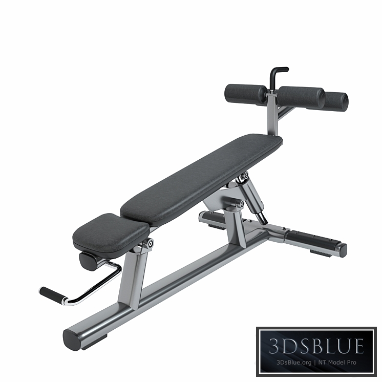 Life Fitness Signature Series Adjustable Abdominal Bench