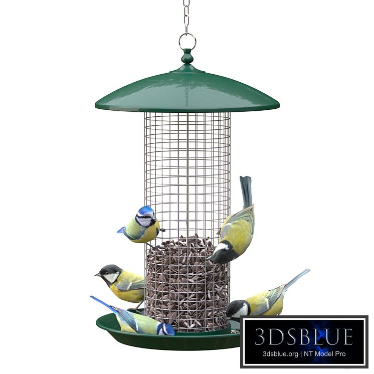 Great Tits and Blue Tits at bird feeder