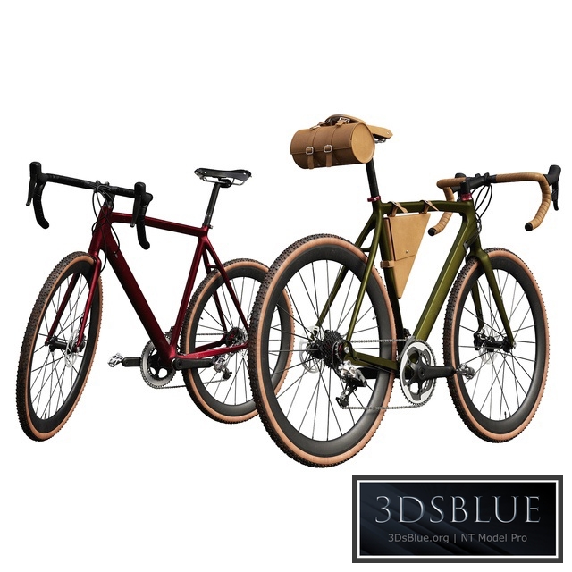 Modern bicycle in two shades