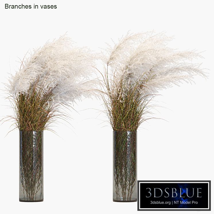 Branches in vases # 21