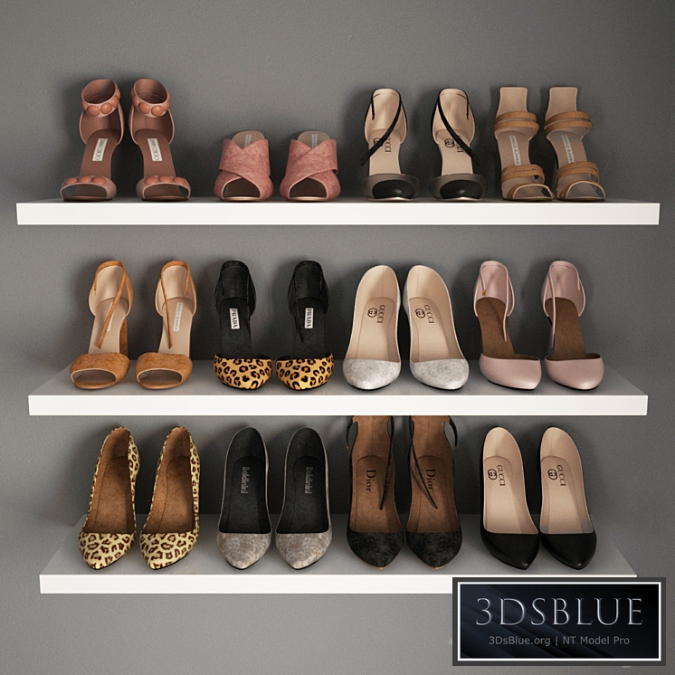 A set of women&#39;s shoes I Women shoes _02