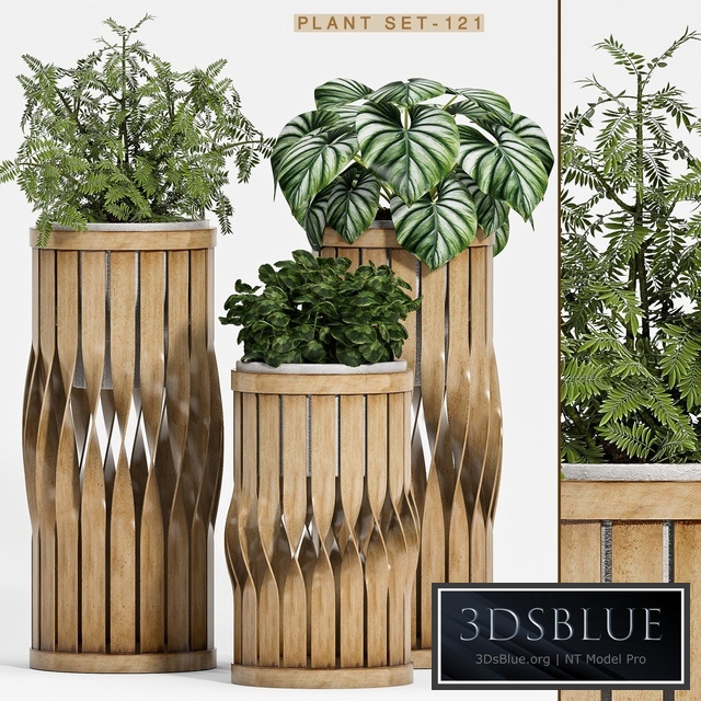 Plant set-121