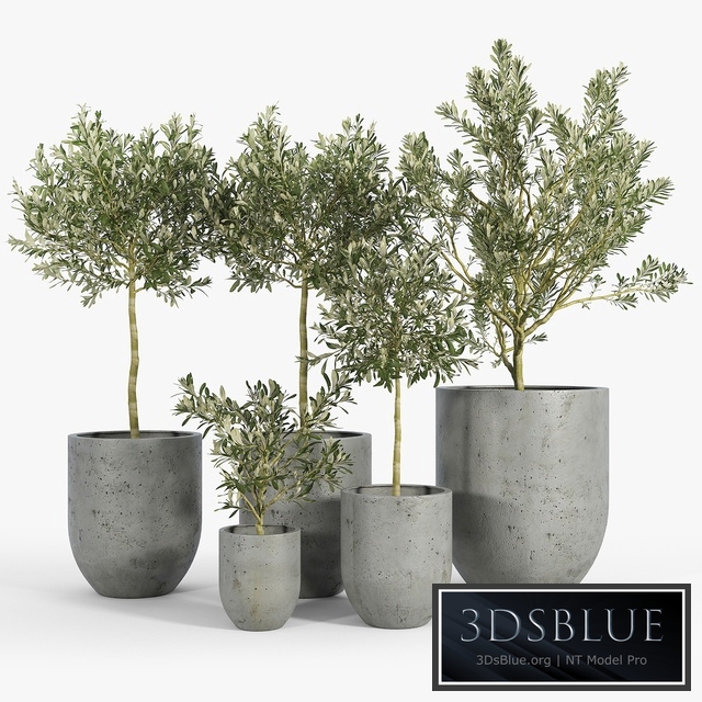 Neo Planter, Extra Small, Lead