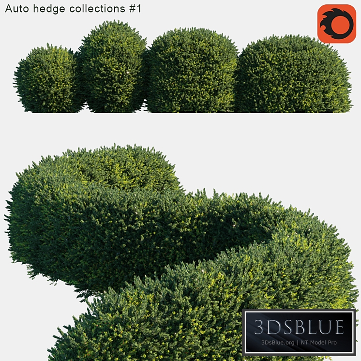 Auto hedge collections # 1