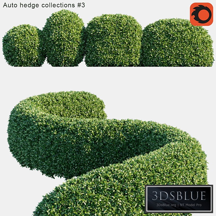 Auto hedge collections # 3