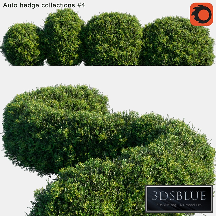 Auto hedge collections # 4