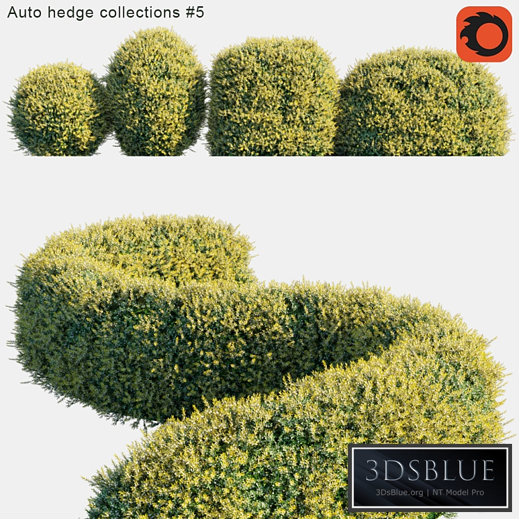 Auto hedge collections # 5