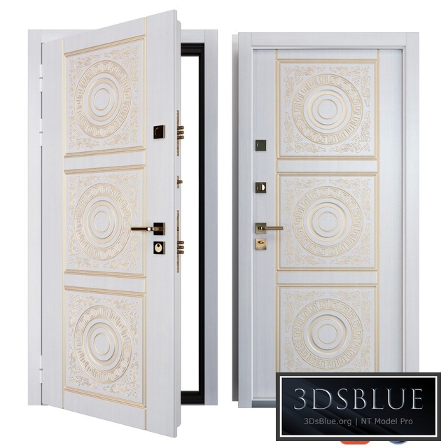 Entrance metal door of Bezha 6 (Your Frame)