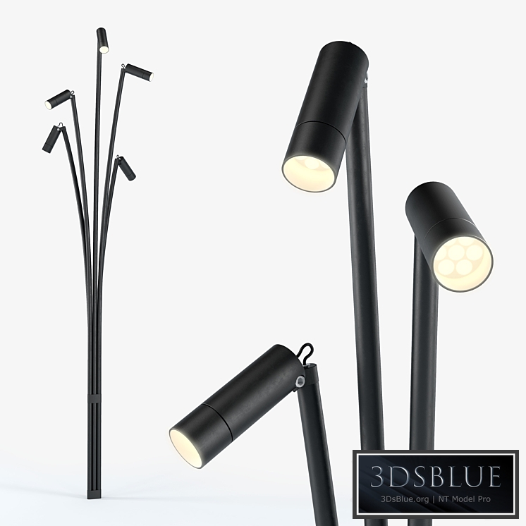 Brillamenti reanuzza