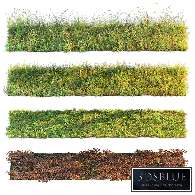 Set of grass and leaves.