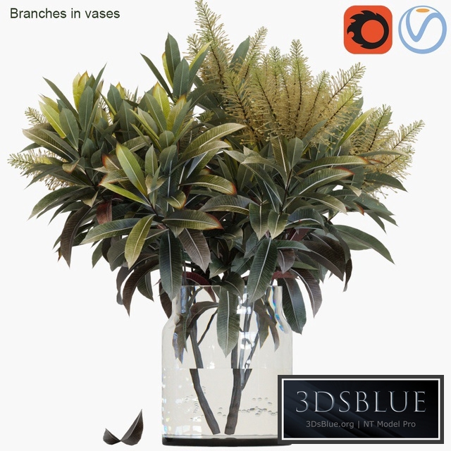 Branches in vases 25.