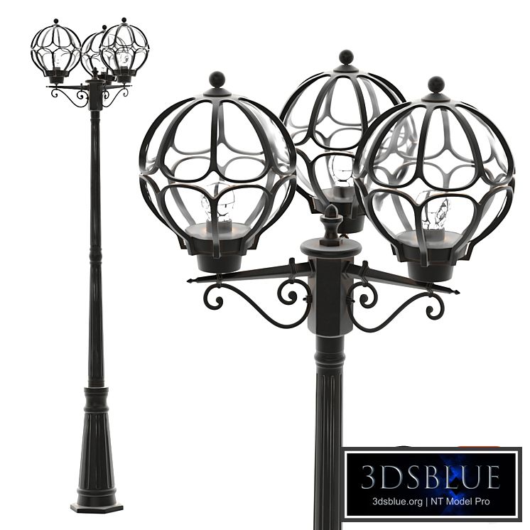 Maytone Champs Elysees