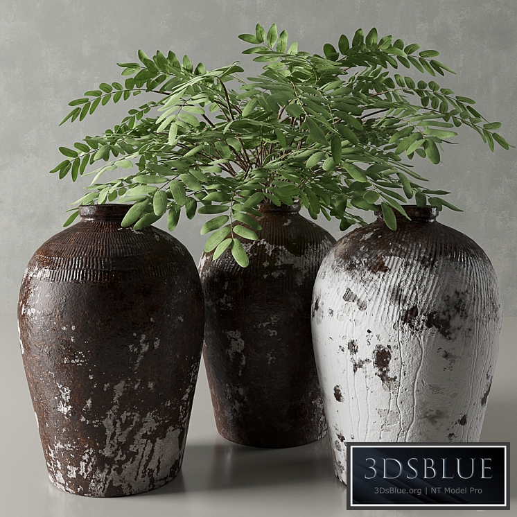 RH Rice Wine Vessels