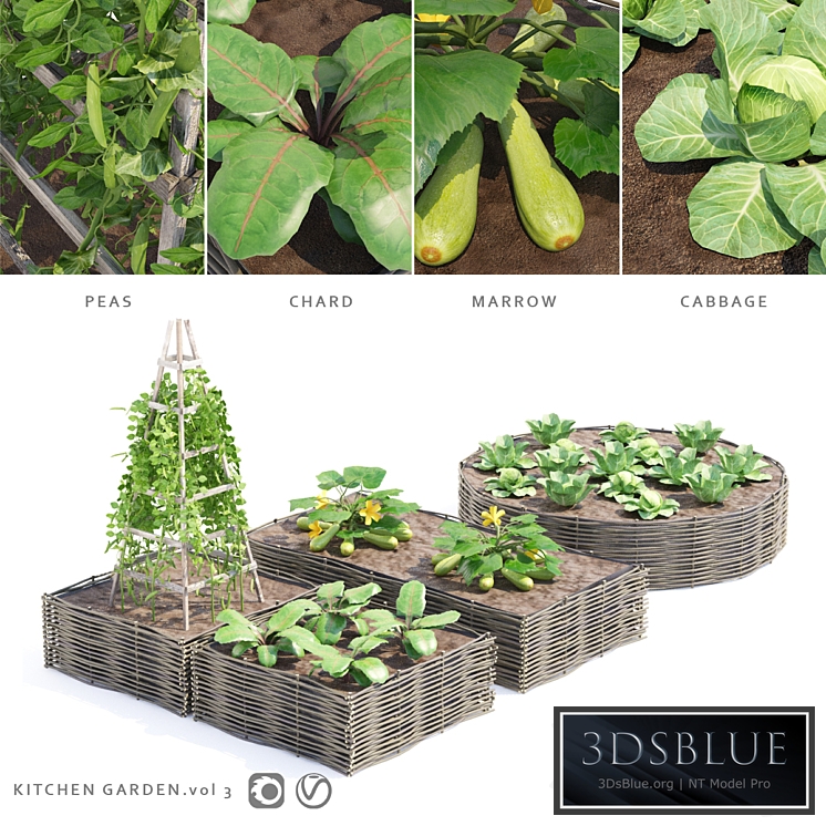 Vegetable garden | Kitchen garden.vol 3