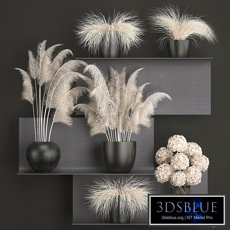 A bouquet of dried flowers 91. White, Pampas grass, branches, vase, reeds, dried flowers, dry decor, black shelf, loft, metal