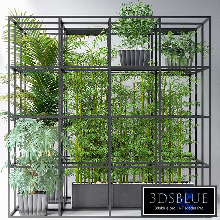 JC Wall Grid Plants Pot 7