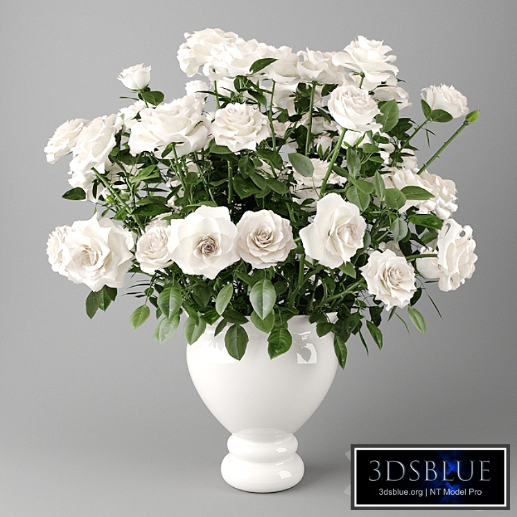 White roses in a white vase | Bouquet of white roses in a white vase