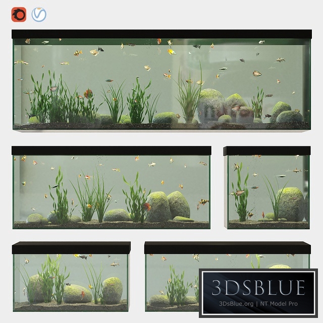 Aquarium set