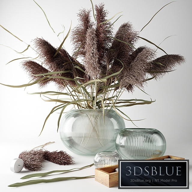 Bouquet of dry grass in a glass vase