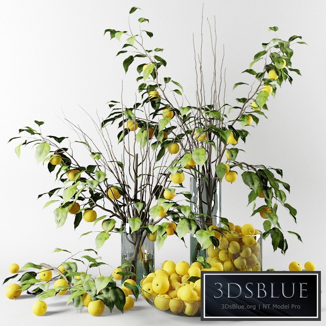 Bouquet of Chinese apple tree branches with yellow apples