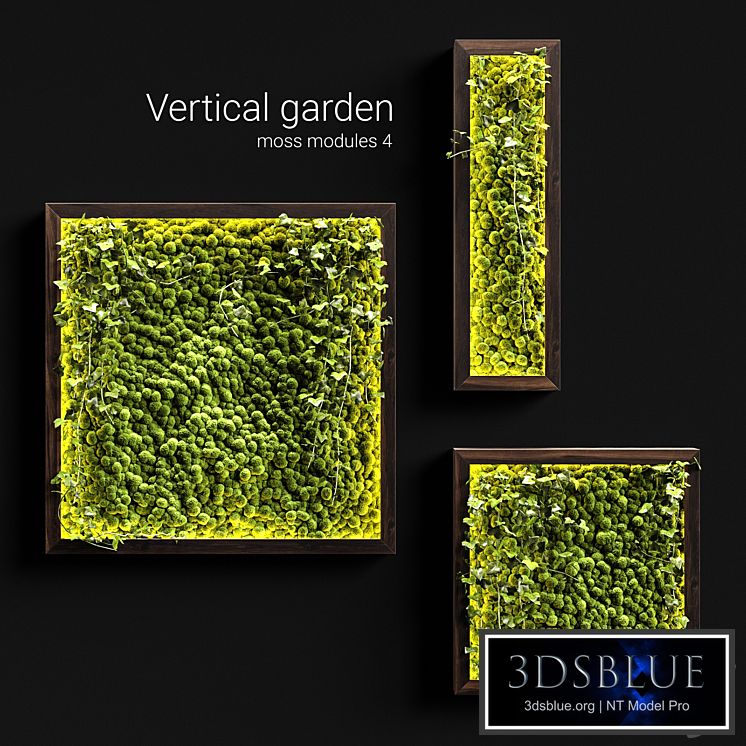 Vertical garden. Moss modules 4