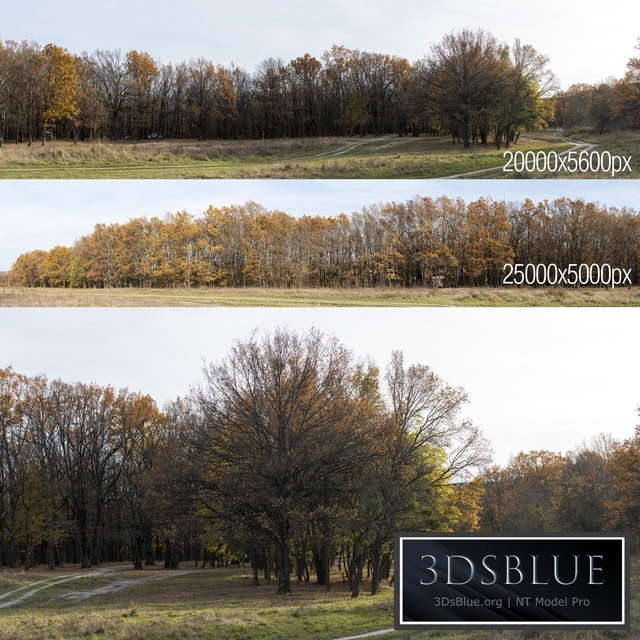 Oak Grove. 2 panoramas