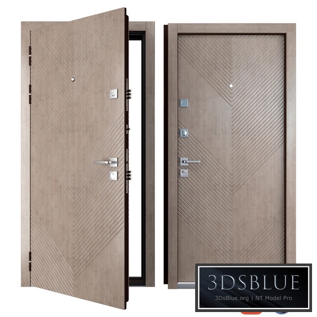 Entrance metal door Olion (Zimen)