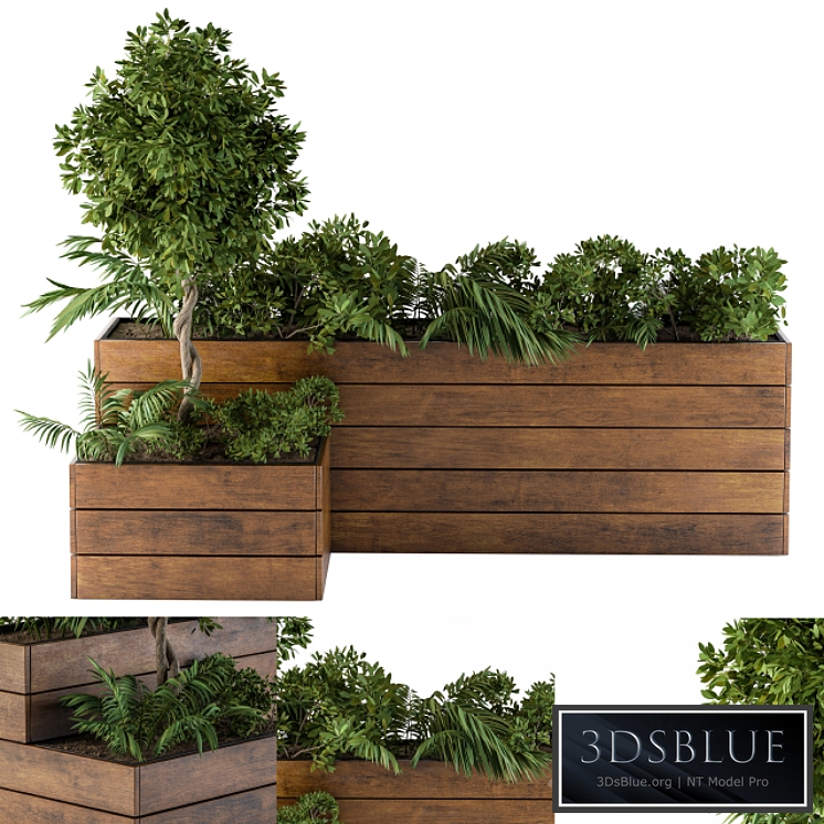 outdoor-plants Flower Box