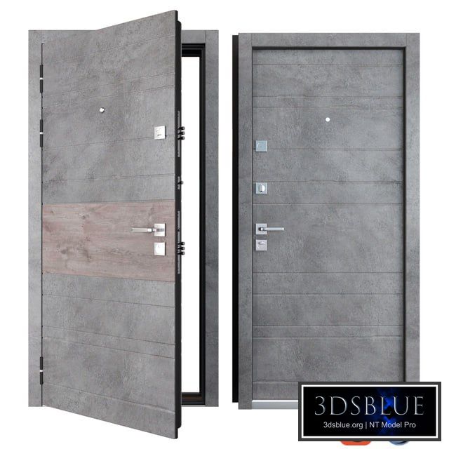 Entrance metal door of Tire (Zimen)