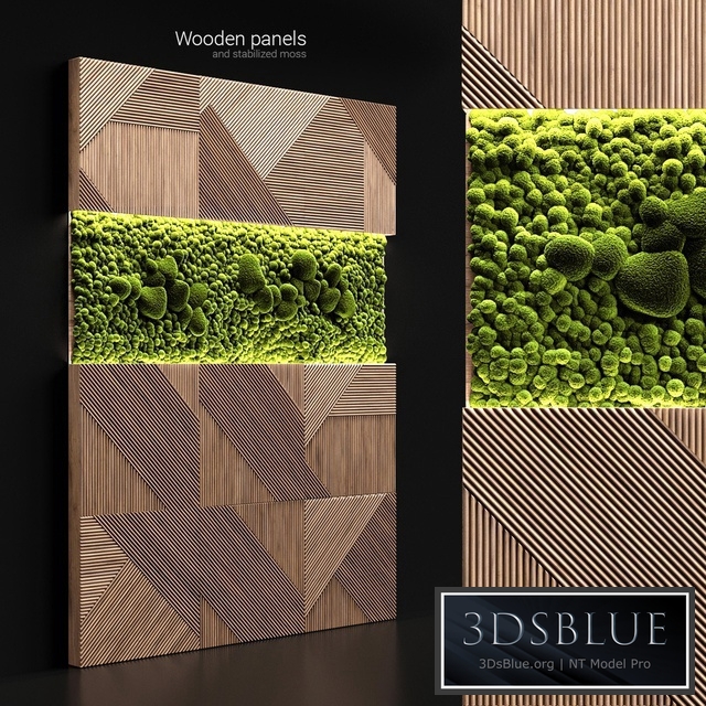Wooden panels and stabilized moss