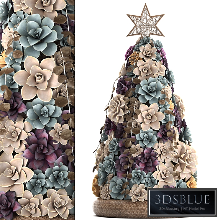 Plant Collection 421. succulents, Christmas tree, cake, Echeveria