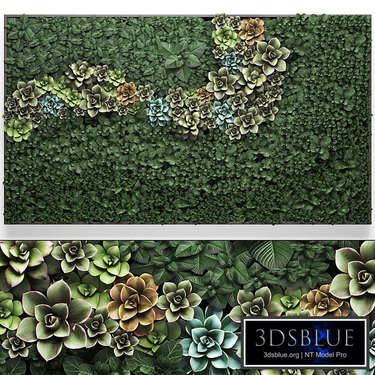 Vertical gardening a garden of plants in a composition of succulents, Echeveria, phytosten, phytomodule, painting. Set 52.