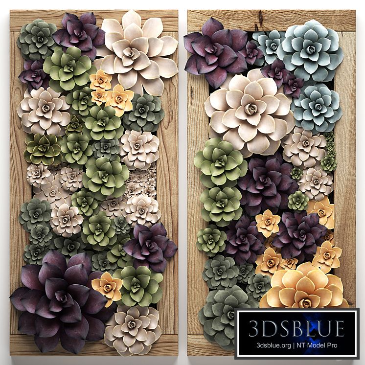 Vertical gardening. 54 succulents, Echeveria, picture, frame, picture, eco design, natural decor