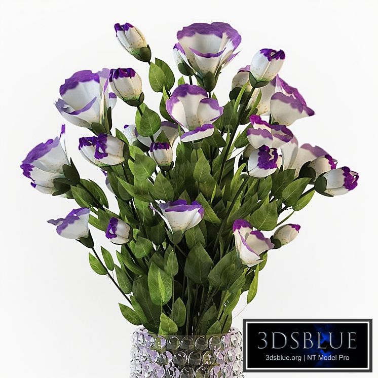 Eustoma (Lisianthus)